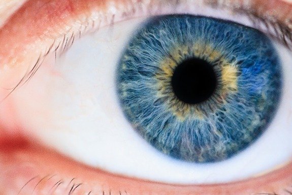 Eye exercises-The path to sharper focus and healthier eyes
