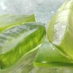 aloe, aloe vera, aloe vera leaf, cut aloe leaf, aloe vera, aloe vera, aloe vera, aloe vera, aloe vera
